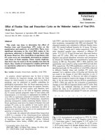 Báo cáo khoa học: 