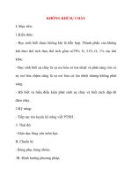 Giáo án Hóa Hoc 8: KHÔNG KHÍ SỰ CHÁY ppsx