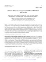 Báo cáo lâm nghiệp: 