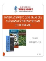 ĐÁNH GIÁ NĂNG LỰC CẠNH TRANH CỦA NGÂN HÀNG KỸ THƯƠNG VIỆT NAM (TECHCOMBANK)
