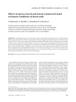 Báo cáo lâm nghiệp: 