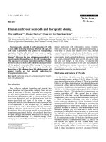 Báo cáo khoa học: 