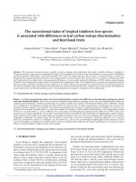 Báo cáo lâm nghiệp: 