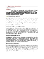 5 nguyên tắc kết hợp màu sắc , 10 sai lầm khi chọn veste