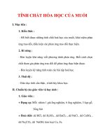 Giáo án Hóa học lớp 9 : Tên bài dạy : TÍNH CHẤT HÓA HỌC CỦA MUỐI potx