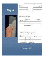 Bài giảng PHƯƠNG PHÁP GIA TẢI TRƯỚC SỬ DỤNG CÁC VẬT THOÁT NƯỚC ĐỨNG ĐÚC SẴN part 6 ppsx