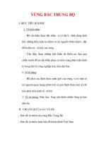 Giáo án Địa lý lớp 9 : Tên bài dạy : VÙNG BẮC TRUNG BỘ pps