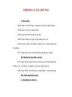 Giáo án Công nghệ lớp 7 : Tên bài dạy : TRỒNG CÂY RỪNG potx