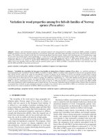 Báo cáo lâm nghiệp: 