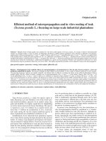 Báo cáo lâm nghiệp: 