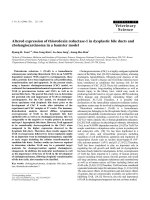 Báo cáo khoa học: 