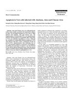 Báo cáo khoa học: 