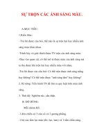 Giáo án Vật lý lớp 9 : Tên bài dạy : SỰ TRỘN CÁC ÁNH SÁNG MÀU. potx