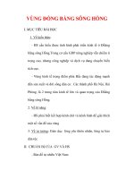 Giáo án Địa lý lớp 9 : Tên bài dạy : VÙNG ĐỒNG BẰNG SÔNG HỒNG docx