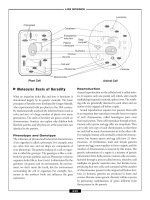economic english 10 pptx