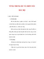 Giáo án Địa lý lớp 9 : Tên bài dạy : VÙNG TRUNG DU VÀ MIỀN NÚI BẮC BỘ docx