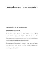 Hướng dẫn sử dụng Crystal Ball – Phần 3 ppt
