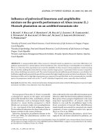 Báo cáo lâm nghiệp: 