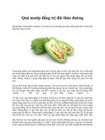 Quả mướp đắng trị đái tháo đường docx