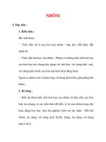 Giáo án Hóa học lớp 9 : Tên bài dạy : NHÔM pot