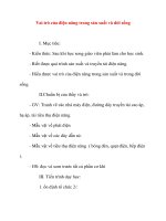 Giáo án Công Nghệ lớp 8: Vai trò của điện năng trong sản xuất và đời sống (tiết 2) ppsx