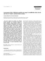 Báo cáo khoa học: 