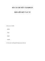 SỔ CÁI CHI TIẾT TÀI KHOẢN MỐI LIÊN KẾT TAY TƯ potx