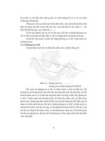 Khảo sát và thiết kế đường sắt part 7 doc