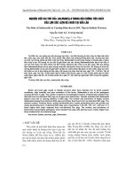 Báo cáo nông nghiệp: 