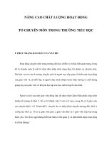 NÂNG CAO CHẤT LƯỢNG HOẠT ĐỘNG TỔ CHUYÊN MÔN TRONG TRƯỜNG TIỂU HỌC pdf