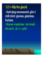 Bài giảng hấp thu các chất ở ruột non và chức năng gan part 2 docx