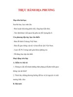 Giáo án Địa lý lớp 9 : Tên bài dạy : THỰC HÀNH ĐỊA PHƯƠNG ppt