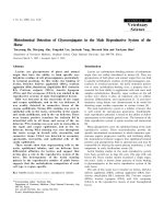 Báo cáo khoa học: 