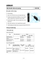 Bộ khuếch đại sợi quang ppsx