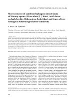 Báo cáo lâm nghiệp: 