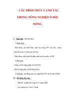 Giáo án Địa Lý 7 : Tên bài dạy : CÁC HÌNH THỨC CANH TÁC TRONG NÔNG NGHIỆP Ở ĐỚI NÓNG pps