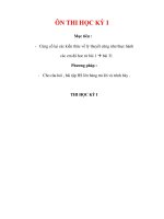 Giáo án Địa Lý 7 : Tên bài dạy : ÔN THI HỌC KỲ I pptx