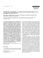 Báo cáo khoa học: 