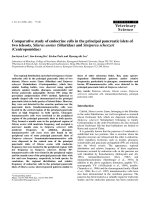 Báo cáo khoa học: 