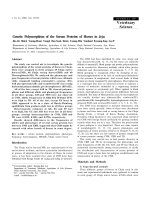 Báo cáo khoa học: 