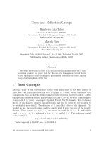 Báo cáo toán học: 