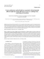 Báo cáo lâm nghiệp: 