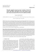 Báo cáo lâm nghiệp: 