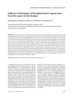 Báo cáo lâm nghiệp: 