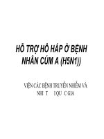 Bài giảng điều trị Cúm A : HỖ TRỢ HÔ HẤP Ở BỆNH NHÂN CÚM A (H5N1) part 1 pptx