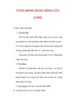 Giáo án Địa lý lớp 9 : Tên bài dạy : VÙNG ĐỒNG BẰNG SÔNG CỬU LONG docx