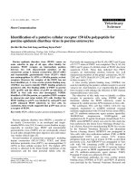 Báo cáo khoa học: 