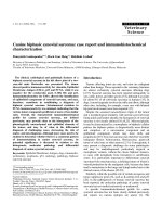 Báo cáo khoa học: 