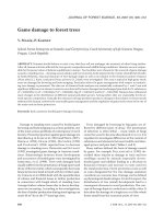 Báo cáo lâm nghiệp: 