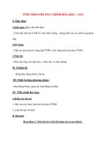 Giáo án Hóa Học lớp 8: TÍNH THEO PHƯƠNG TRÌNH HÓA HỌC ( TIẾP) pptx